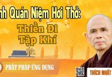 Kinh Quán Niệm Hơi Thở: Thiền Đi, Tập Khí – Thích Nhất Hạnh kinh quan niem hoi tho thien di