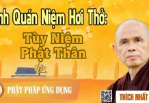 Kinh Quán Niệm Hơi Thở: Tùy Niệm – Phật Thân – Thích Nhất Hạnh kinh quan niem hoi tho tuy niem