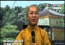 Kinh Quán Vô Lượng Thọ 1 – Tù Ngục và Cực Lạc – Thích Nhật Từ kinh quan vo luong tho 1 tu nguc