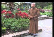 Kinh Sư Tử Hống – Thích Pháp Hòa kinh su tu hong thich phap hoa