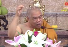 Kinh Tạp A Hàm 848 – Bốn Thiên Đạo Của Chư Thiên – Thích Giác Toàn kinh tap a ham 848 bon thien dao