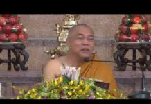 Kinh Tạp A Hàm Bài Kinh 810 Phần 1 – Thích Giác Toàn kinh tap a ham bai kinh 810 phan