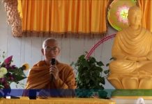 Kinh Thí Dụ Lõi Cây – Thích Giác Đăng kinh thi du loi cay thich giac d