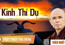 Kinh Thí Dụ – Thích Nhất Hạnh kinh thi du thich nhat hanh