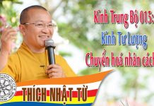 Kinh Trung Bộ 15 (Kinh Tư Lượng) – Chuyển hóa nhân cách 2 (22/05/2005) – Thích Nhật Từ kinh trung bo 15 kinh tu luong c