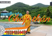 Kinh Trung Bộ 28 (Đại Kinh Ví Dụ Dấu Chân Voi) – Chuyển hóa thái độ chấp thân – Thích Nhật Từ kinh trung bo 28 dai kinh vi du
