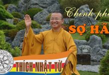 Kinh Trung Bộ 4 (Kinh Sợ Hãi và Khiếp Đảm) – Chinh phục sợ hãi 1 (18/07/2004) – Thích Nhật Từ kinh trung bo 4 kinh so hai va k 1