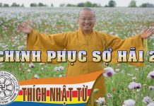Kinh Trung Bộ 4 (Kinh Sợ Hãi và Khiếp Đảm) – Chinh phục sợ hãi 2 (25/07/2004) – Thích Nhật Từ kinh trung bo 4 kinh so hai va k