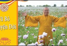 Kinh Trung Bộ 54 (Kinh Potaliya) – Từ bỏ chuyện đời – Thích Nhật Từ kinh trung bo 54 kinh potaliya t