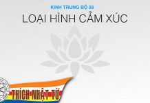 Kinh Trung Bộ 59 (Kinh Nhiều Cảm Xúc) – Loại hình cảm xúc (07/01/2007) – Thích Nhật Từ kinh trung bo 59 kinh nhieu cam