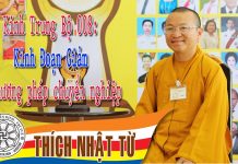 Kinh Trung Bộ 8 (Kinh Đoạn Giảm) – Phương pháp chuyển nghiệp (13/03/2005) – Thích Nhật Từ kinh trung bo 8 kinh doan giam p