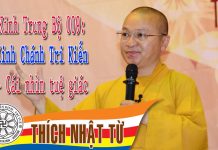 Kinh Trung Bộ 9 (Kinh Chánh Tri Kiến) – Cái nhìn tuệ giác (17-20/03/2005 ) – Thích Nhật Từ kinh trung bo 9 kinh chanh tri k