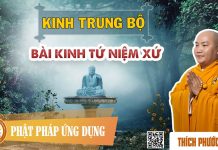 Kinh Trung Bộ – Bài Kinh Tứ Niệm Xứ – Thích Phước Tiến kinh trung bo bai kinh tu niem x