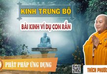 Kinh Trung Bộ – Bài Kinh Ví Dụ Con Rắn – Thích Phước Tiến kinh trung bo bai kinh vi du con