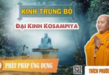 Kinh Trung Bộ – Đại Kinh Kosampiya – Thích Phước Tiến kinh trung bo dai kinh kosampiya