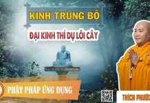 Kinh Trung Bộ – Đại Kinh Thí Dụ Lõi Cây – Thích Phước Tiến kinh trung bo dai kinh thi du lo