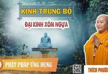 Kinh Trung Bộ – Đại Kinh Xóm Ngựa – Thích Phước Tiến kinh trung bo dai kinh xom ngua