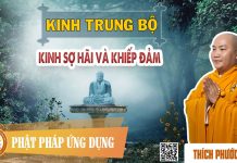 Kinh Trung Bộ – Kinh Sợ Hãi Và Khiếp Đảm – Thích Phước Tiến kinh trung bo kinh so hai va khi