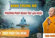 Kinh Trung Bộ – Phương Pháp Đoạn Trừ Lậu Hoặc – Thích Phước Tiến kinh trung bo phuong phap doan t