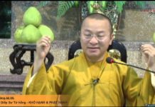 Kinh Trường bộ 08 – Kinh Ca-diếp Sư tử hống – Khổ hạnh và Phật hạnh – Thích Nhật Từ kinh truong bo 08 kinh ca diep s
