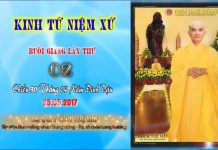 Kinh Tứ Niệm Xứ 2 – Thích Tuệ Hải kinh tu niem xu 2 thich tue hai