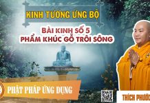 Kinh Tương Ưng Bộ – Phẩm Khúc Gỗ Trôi Sông – Thích Phước Tiến kinh tuong ung bo pham khuc go t