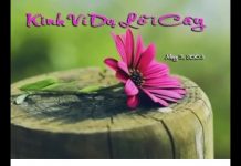Kinh Ví Dụ Lõi Cây – Thích Pháp Hòa kinh vi du loi cay thich phap ho