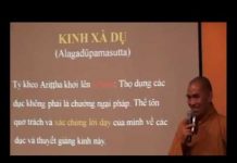 Kinh Xà Dụ – Thích Tâm Đức kinh xa du thich tam duc