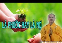 Là Phước Hay Là Nợ – Thích Thiện Tuệ la phuoc hay la no thich thien t