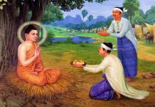 Làm Dâu Xứ Người – Thích Nữ Hương Nhũ lam dau xu nguoi thich nu huong