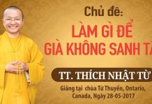 Làm Gì Để Già Không Sanh Tật – Thích Nhật Từ lam gi de gia khong sanh tat thi