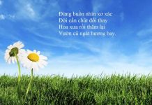 Làm Mới Lại Tình Thương – Thích Minh Niệm lam moi lai tinh thuong thich mi