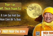 Làm Sao Vượt Qua Hoàn Cảnh Để Tu Được – Tham vấn HT Thanh Từ 8 lam sao vuot qua hoan canh de tu