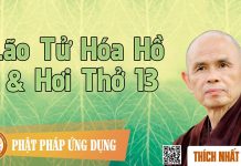 Lão Tử Hóa Hồ & Hơi Thở 13 – Thích Nhất Hạnh lao tu hoa ho hoi tho 13 thich n