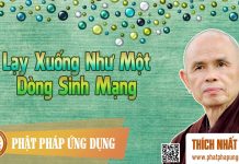Lạy Xuống Như Một Dòng Sinh Mạng – Thích Nhất Hạnh lay xuong nhu mot dong sinh mang
