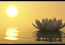 Lẽ Ghét Thương – Thích Thiện Tuệ le ghet thuong thich thien tue