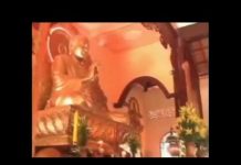 Lễ Tưởng Niệm Ngài Ohsawa 2007 – Thích Tuệ Hải le tuong niem ngai ohsawa 2007 t