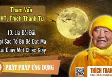 Lìa Đối Đãi, Tại Sao Tổ Bồ Đề Đạt Ma Lại Quẫy Một Chiếc Giày – Tham vấn HT Thanh Từ 10 lia doi dai tai sao to bo de dat
