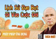 Lịch Sử Đạo Bụt Đi Vào Cuộc Đời – Thích Nhất Hạnh lich su dao but di vao cuoc doi
