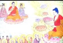 Liên Hoa Hóa Sanh – Thích Nữ Như Lan lien hoa hoa sanh thich nu nhu l