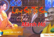 Liệng Sợi Tơ Sen Trói Mãnh Hổ – Thích Thiện Tuệ lieng soi to sen troi manh ho th