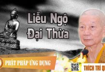 Liễu Ngộ Đại Thừa – Thích Trí Quảng lieu ngo dai thua thich tri quan