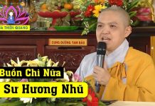 Lo Buồn Chi Nữa – Thích Nữ Hương Nhũ lo buon chi nua thich nu huong n