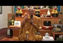 Lo Rầu Lo Toan – Thích Giác Đăng lo rau lo toan thich giac dang