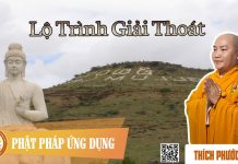 Lộ Trình Giải Thoát (KT41) – Thích Phước Tiến lo trinh giai thoat kt41 thich p