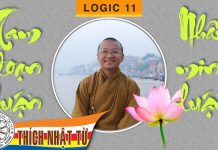 Logic 11: Tam đoạn luận và nhân minh luận (14-11-2007) – Thích Nhật Từ logic 11 tam doan luan va nhan m
