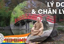 Logic 8: Lý do và chân lý (27-10-2007) – Thích Nhật Từ logic 8 ly do va chan ly 27 10 2