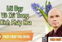 Lời Dạy Vô Xứ Trong Kinh Pháp Hoa – Thích Nhất Hạnh loi day vo xu trong kinh phap ho