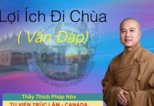 Lợi Ích Đi Chùa (Vấn Đáp) – Thích Pháp Hòa loi ich di chua van dap thich ph