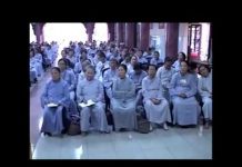 Lời Nói Chân Thật Phần 2 – Thích Viên Giác loi noi chan that phan 2 thich v